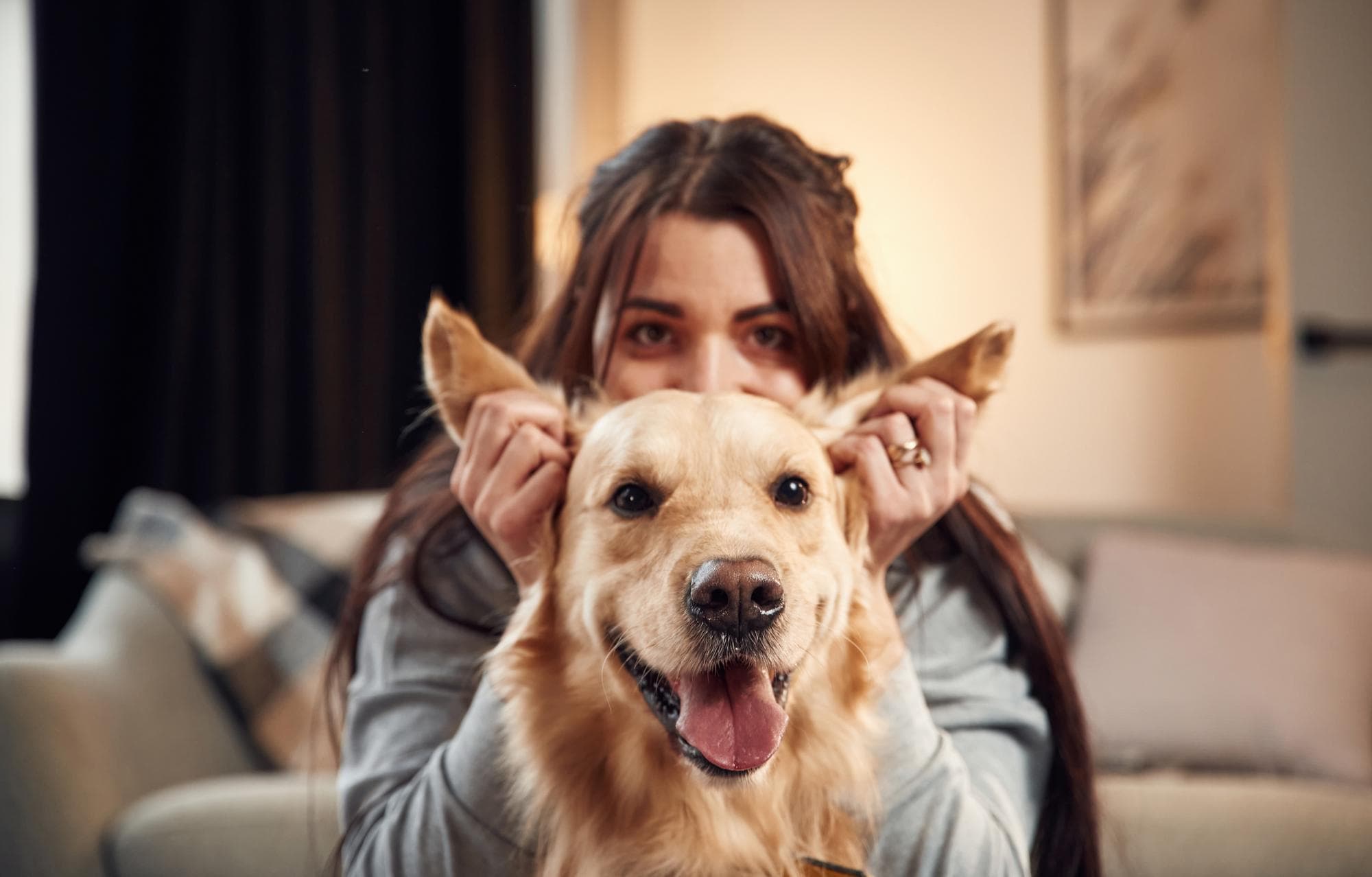 Como saber se meu cachorro está feliz