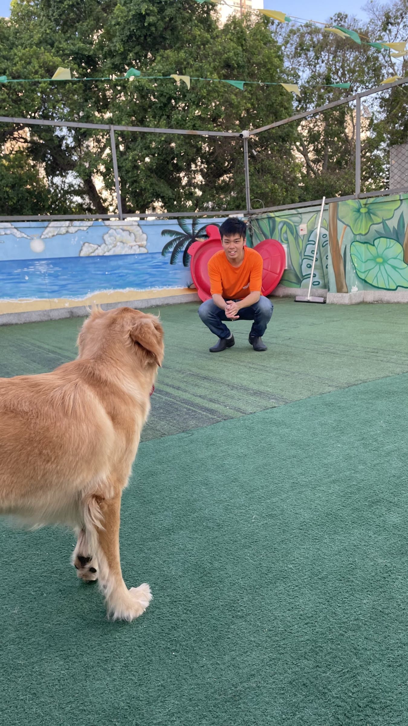 Monitor da Goiabada Cascão agachado brincando com um golden retriever no terraço