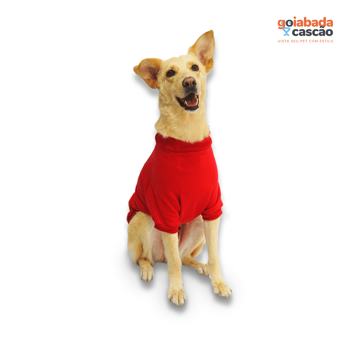 Cão vestindo roupinha vermelha da Goiabada Cascão