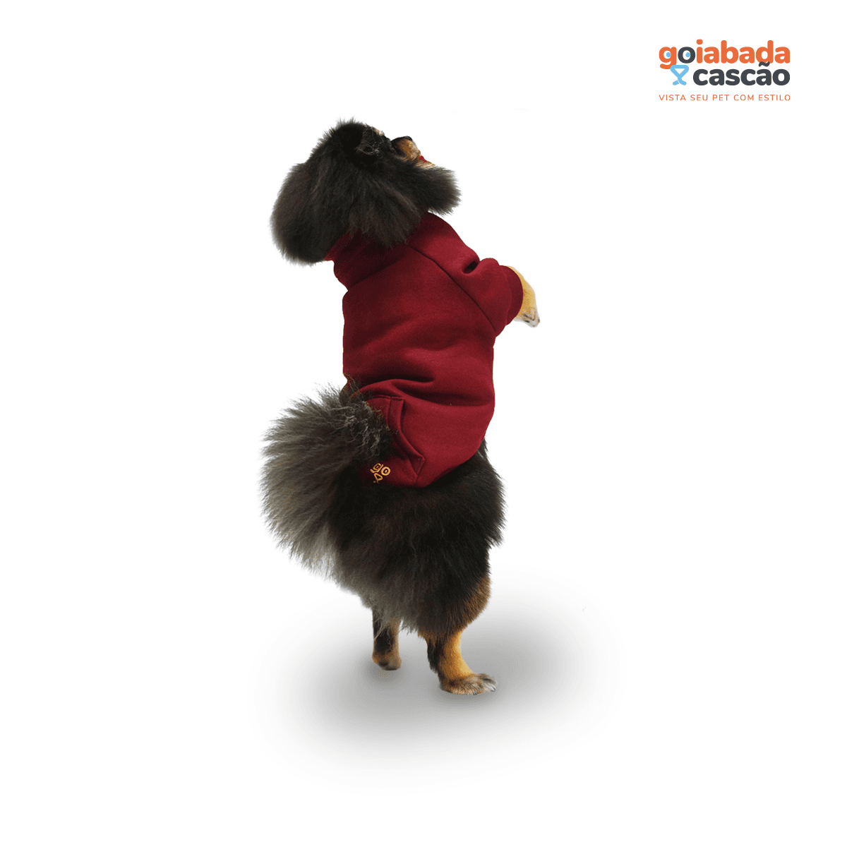 Cão vestindo roupinha vinho da Goiabada Cascão