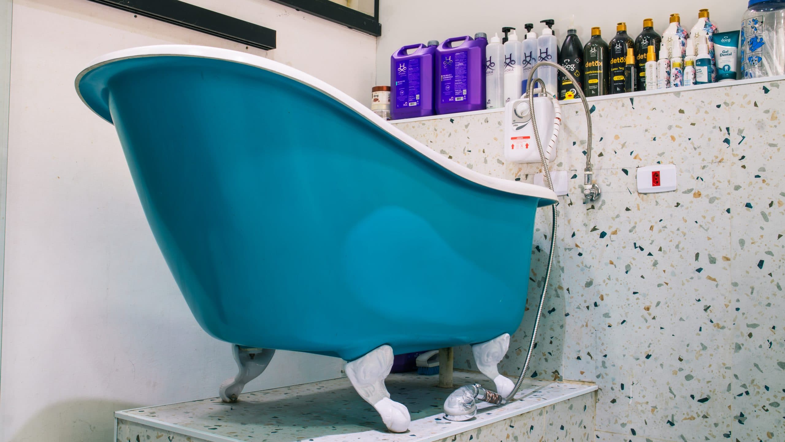 Banheira vitoriana azul no banho e tosa da Goiabada Cascão